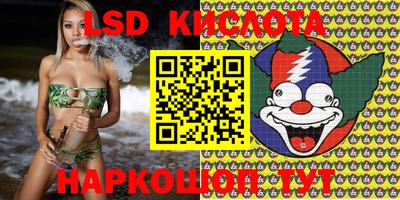 ALPHA PVP Малгобек